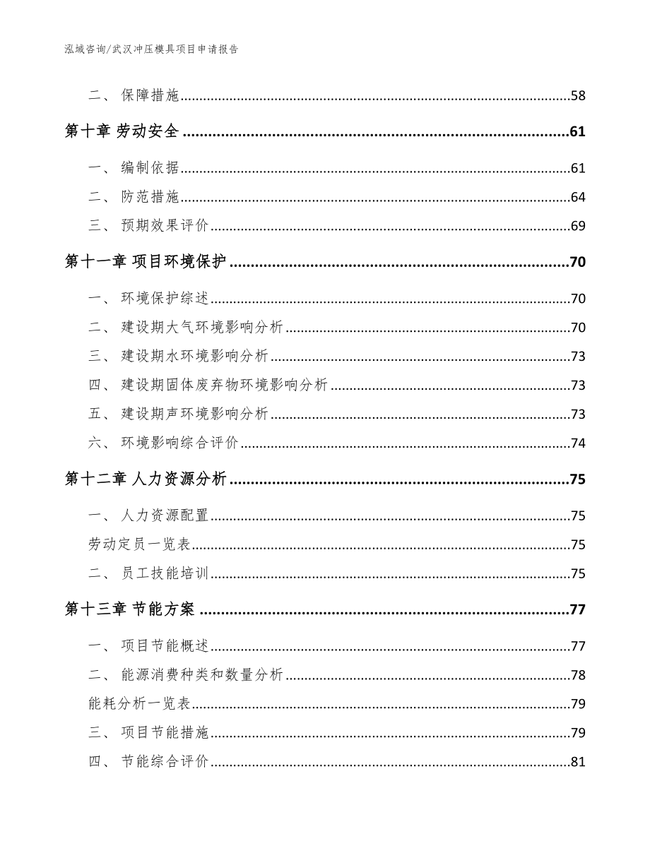 武汉冲压模具项目申请报告_第4页