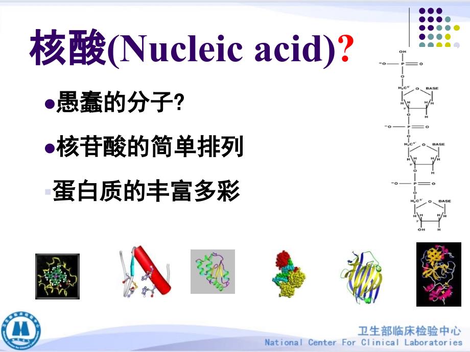 核酸的生物化学_第2页