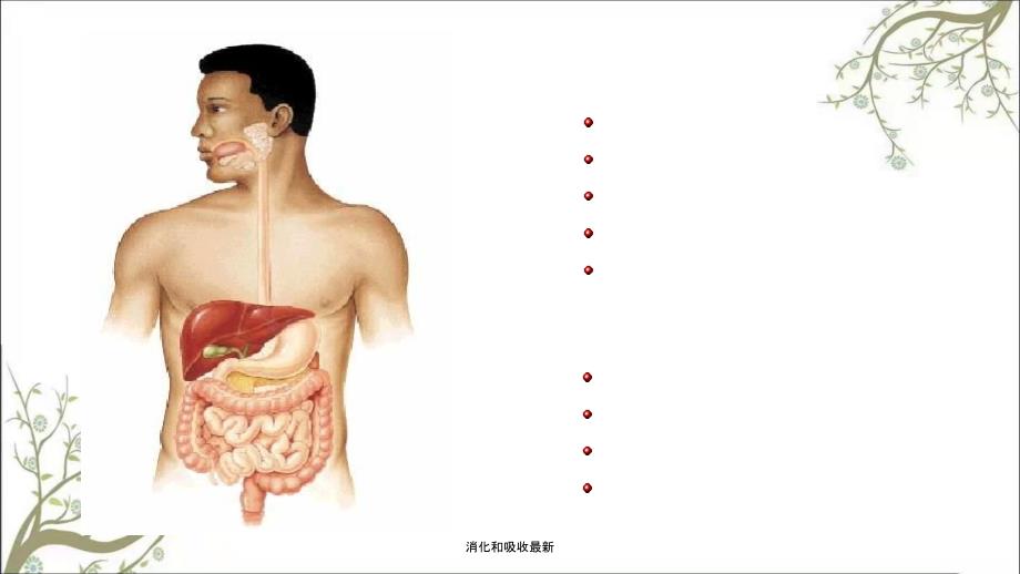 消化和吸收最新课件_第2页