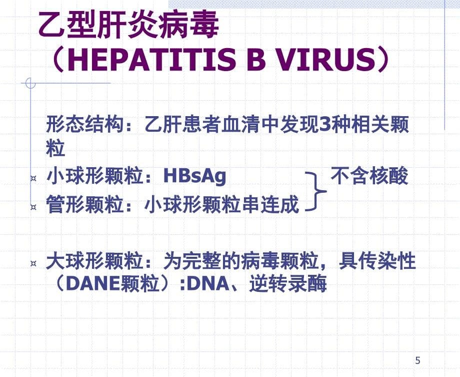 二节乙型肝炎病毒_第5页