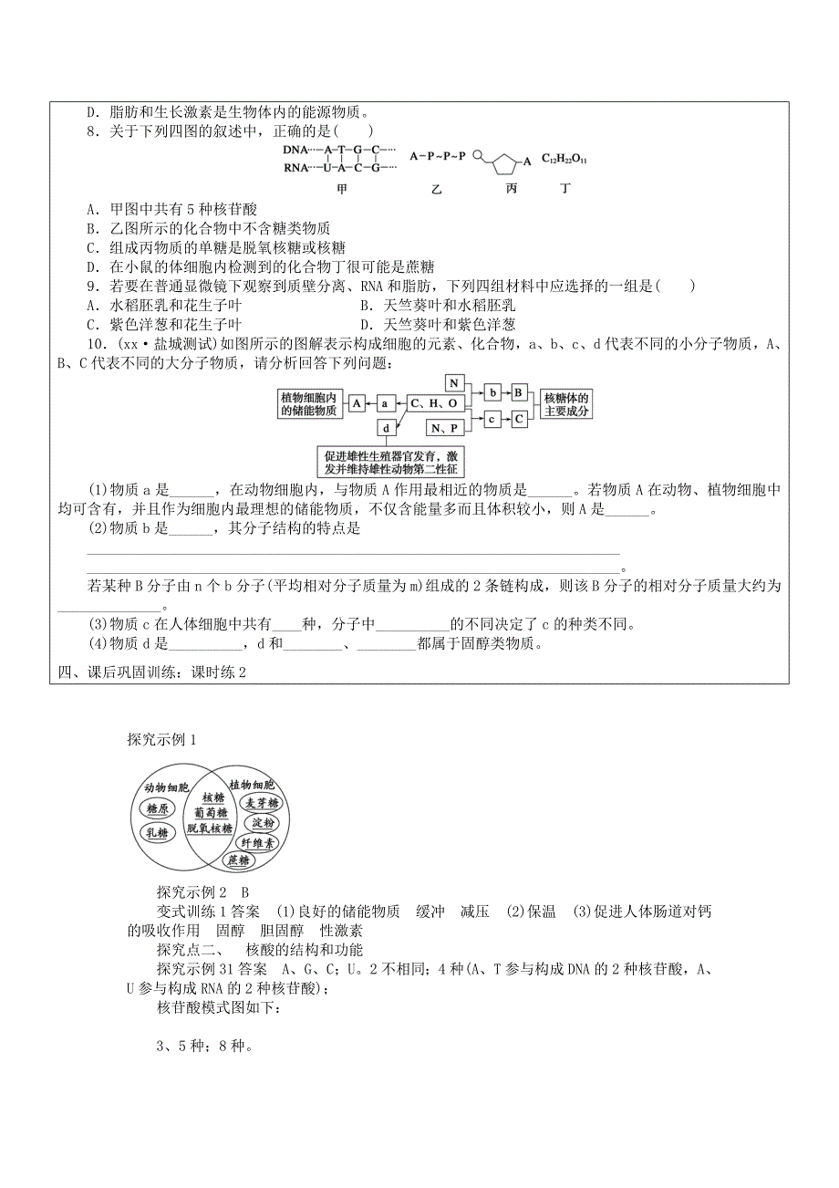 2022年高三生物一轮复习 糖类、脂质、核酸学案_第3页