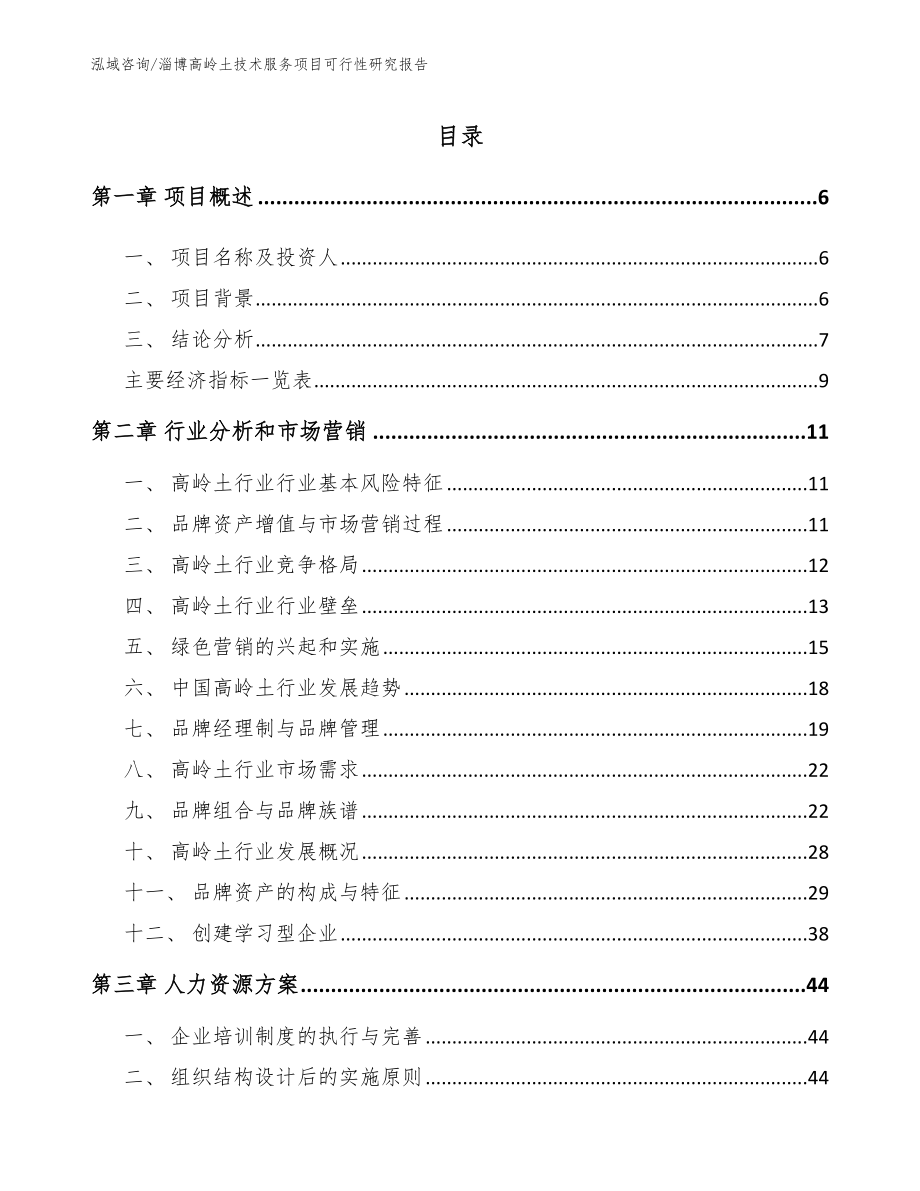 淄博高岭土技术服务项目可行性研究报告模板范文_第2页