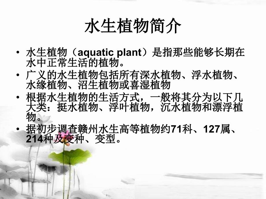 水生植物常见种类介绍_第2页