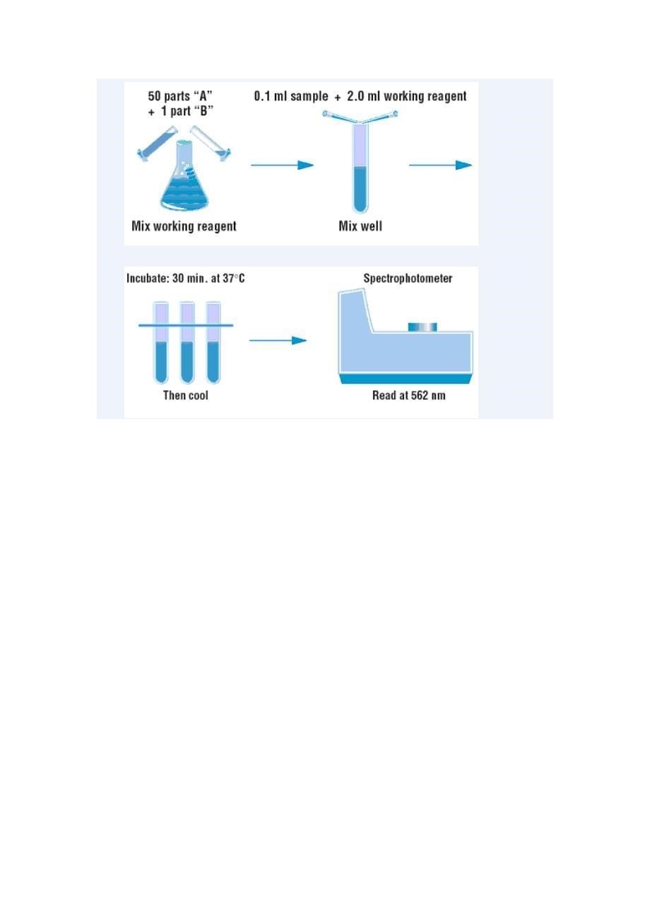 几种蛋白质定量方法的实际应用.doc_第5页