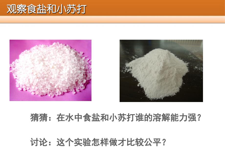 24不同物质在水中的溶解能力_第3页