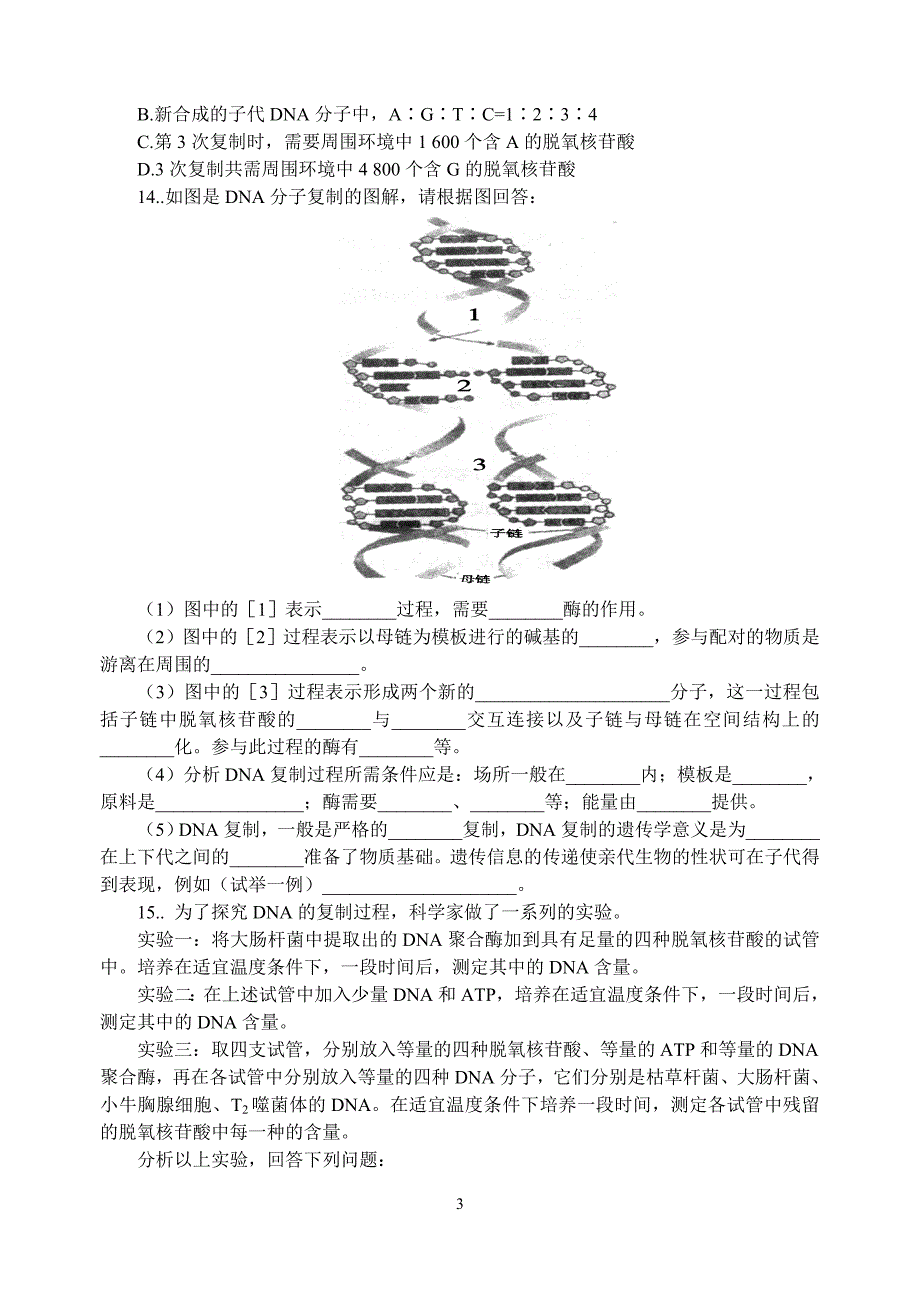 课后巩固练习—DNA的复制.doc_第3页