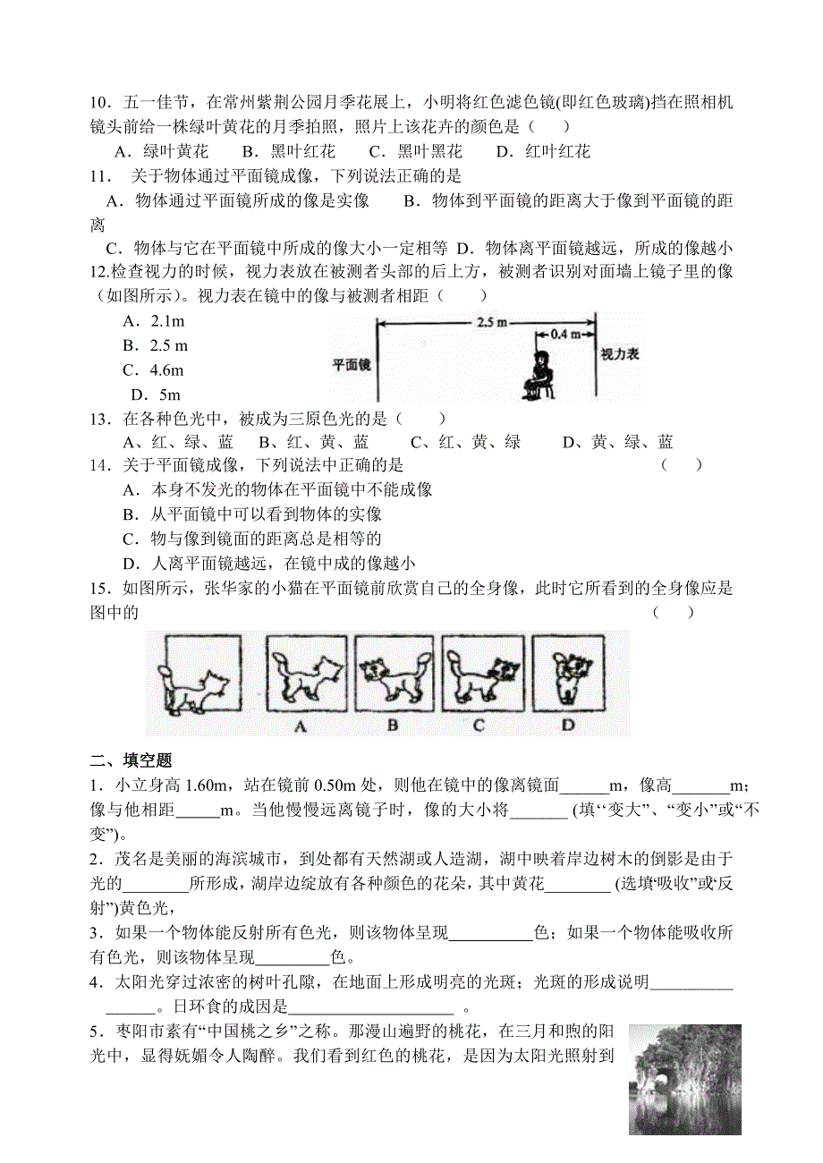 教育专题：光的传播、光的反射、平面镜成像_第2页