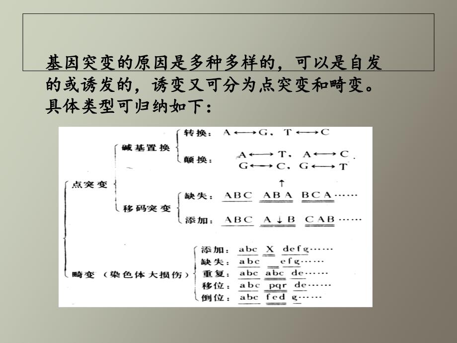 基因突变的机制_第2页