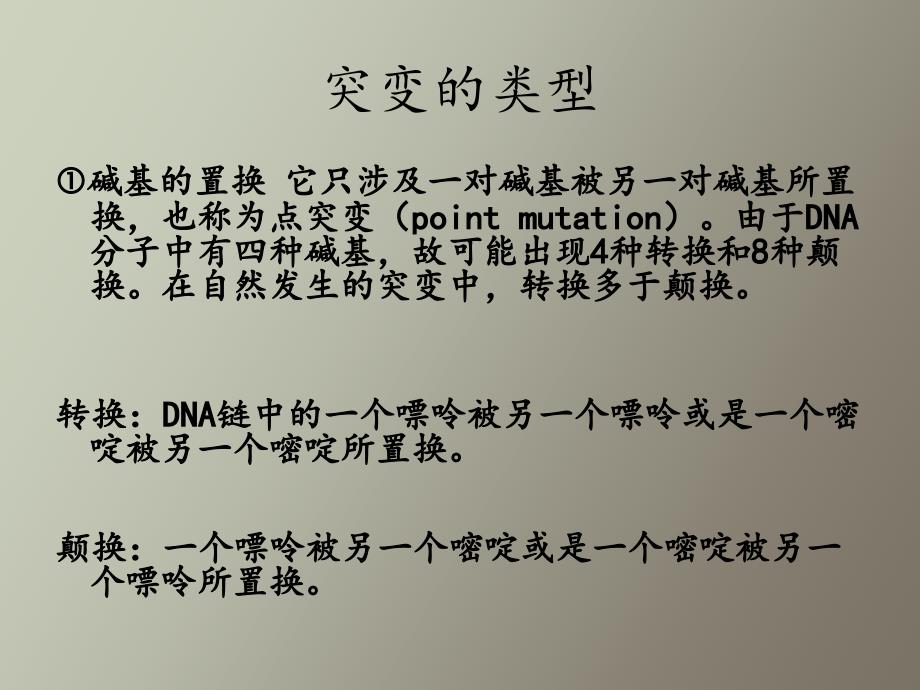 基因突变的机制_第3页