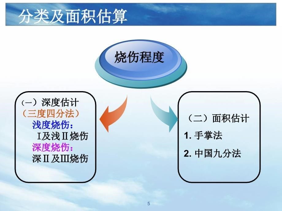 （优质课件）急诊烧伤手术的配合_第5页