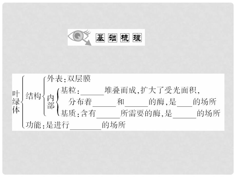 高中生物 第5章 第4节 能量之源 光与光合作用课件 新人教版必修1_第3页