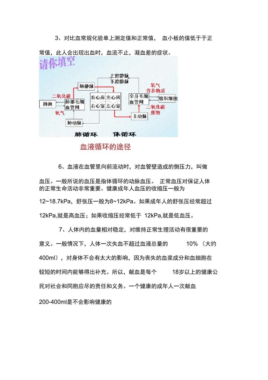 第三部分人体生命活动的能量供给_第5页