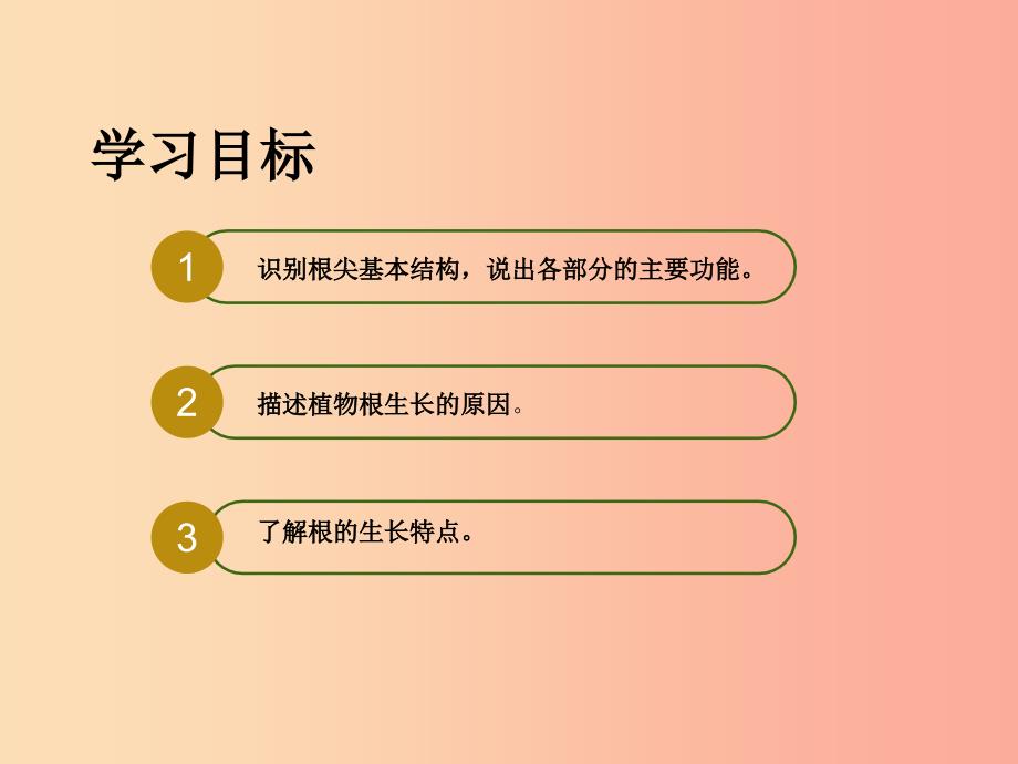 八年级生物上册 第三单元 第二章 第一节 根的生长课件 （新版）冀教版.ppt_第2页