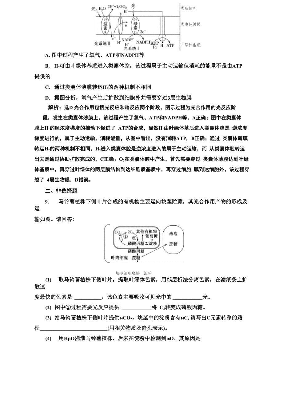 专题2 细胞的代谢 环节二 微课微练 光合作用和细胞呼吸中的“物质与能量观”_第5页