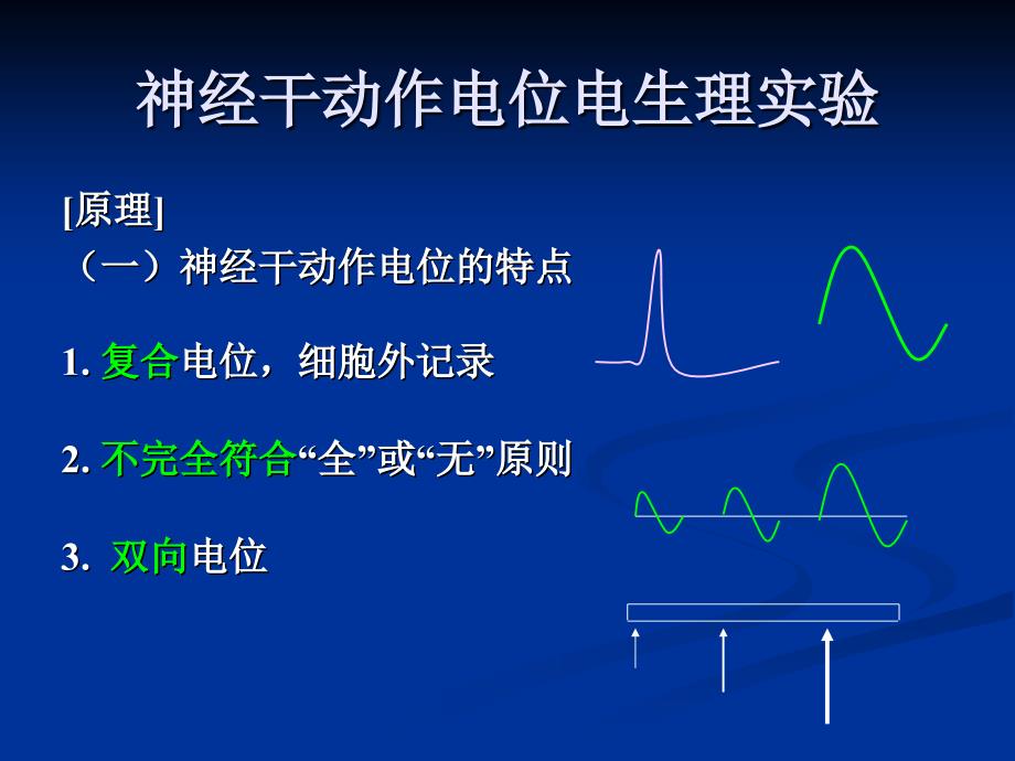 神经干动作电位电生理实验_第2页