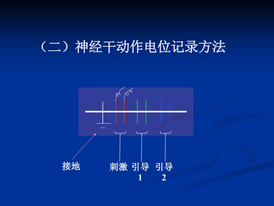 神经干动作电位电生理实验_第3页