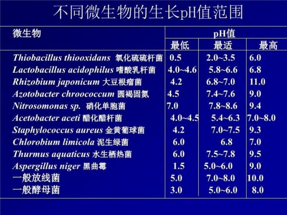 最新发酵PHPPT课件_第5页