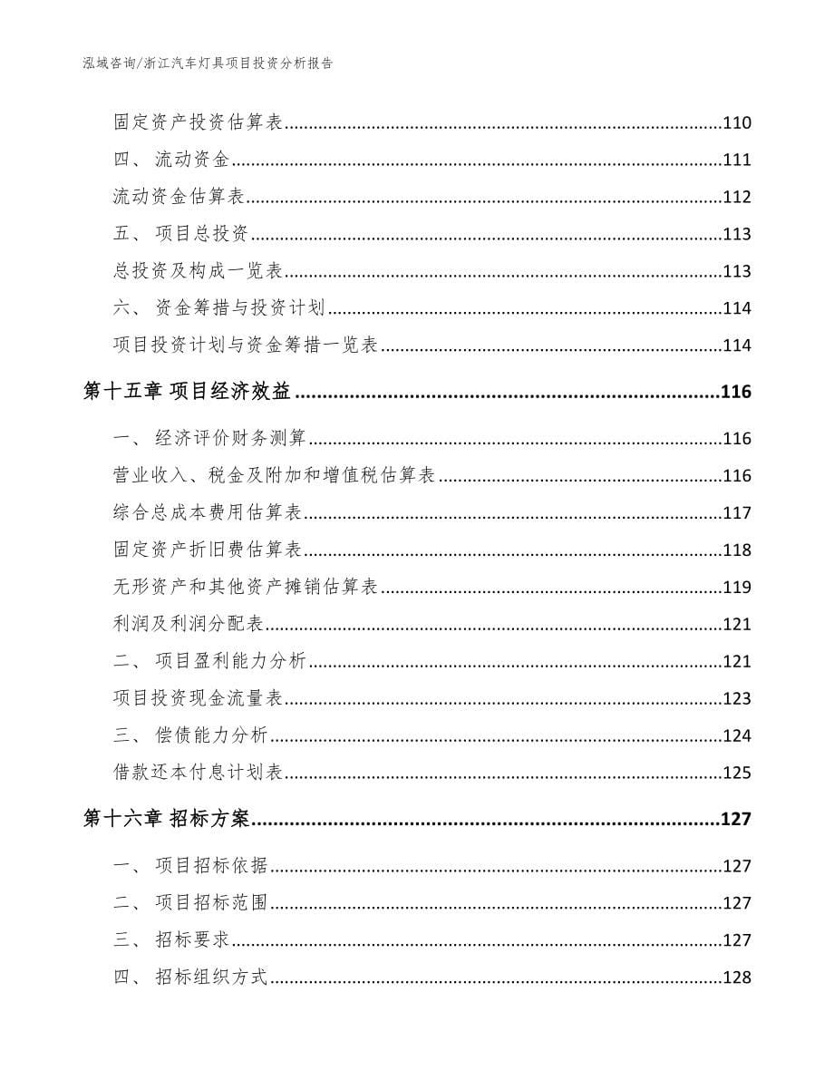 浙江汽车灯具项目投资分析报告（模板范本）_第5页