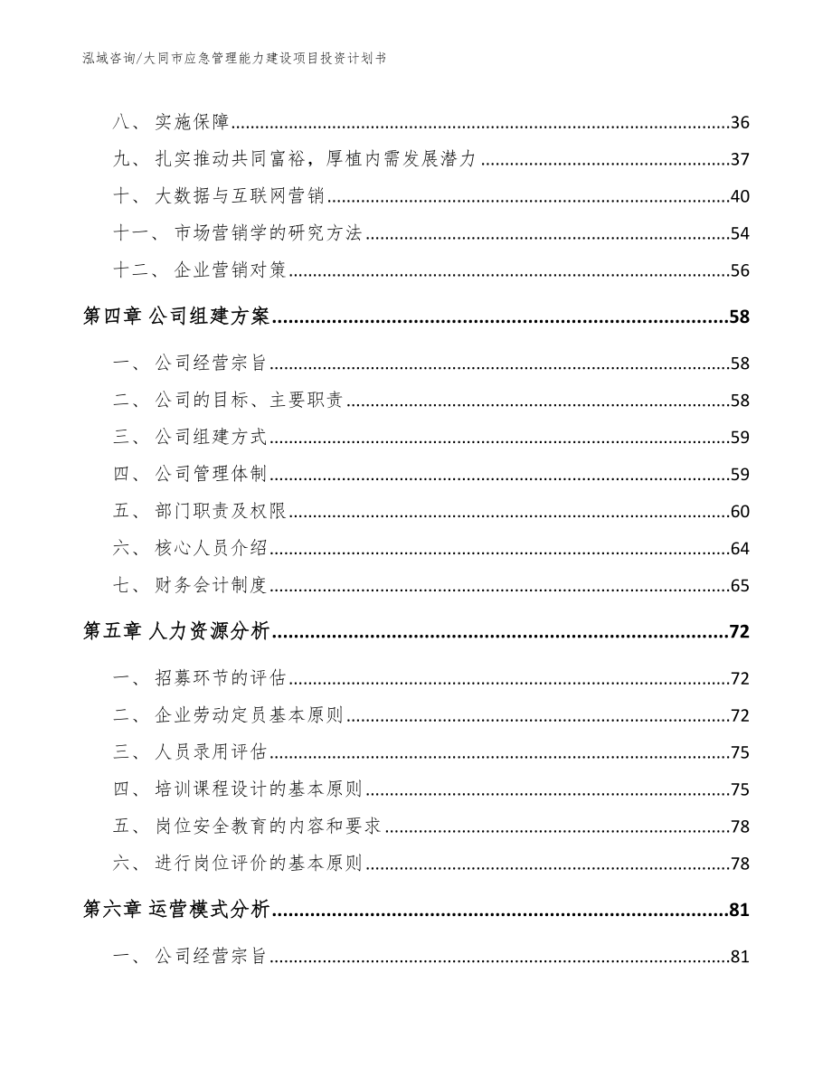 大同市应急管理能力建设项目投资计划书_模板_第3页