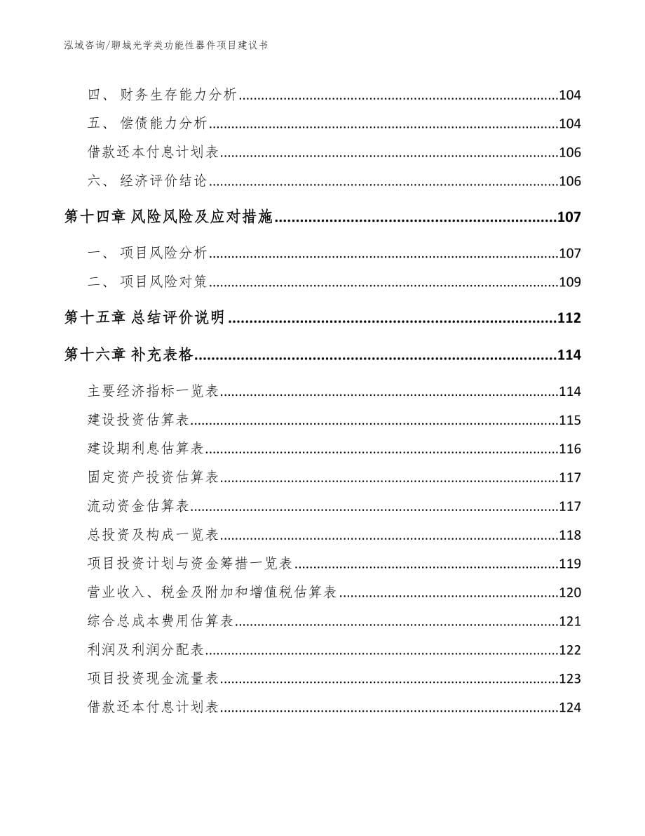 聊城光学类功能性器件项目建议书（范文模板）_第5页