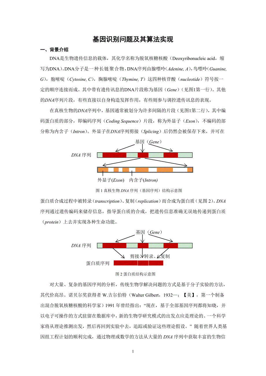 (精品)基因识别问题及其算法实现_第1页