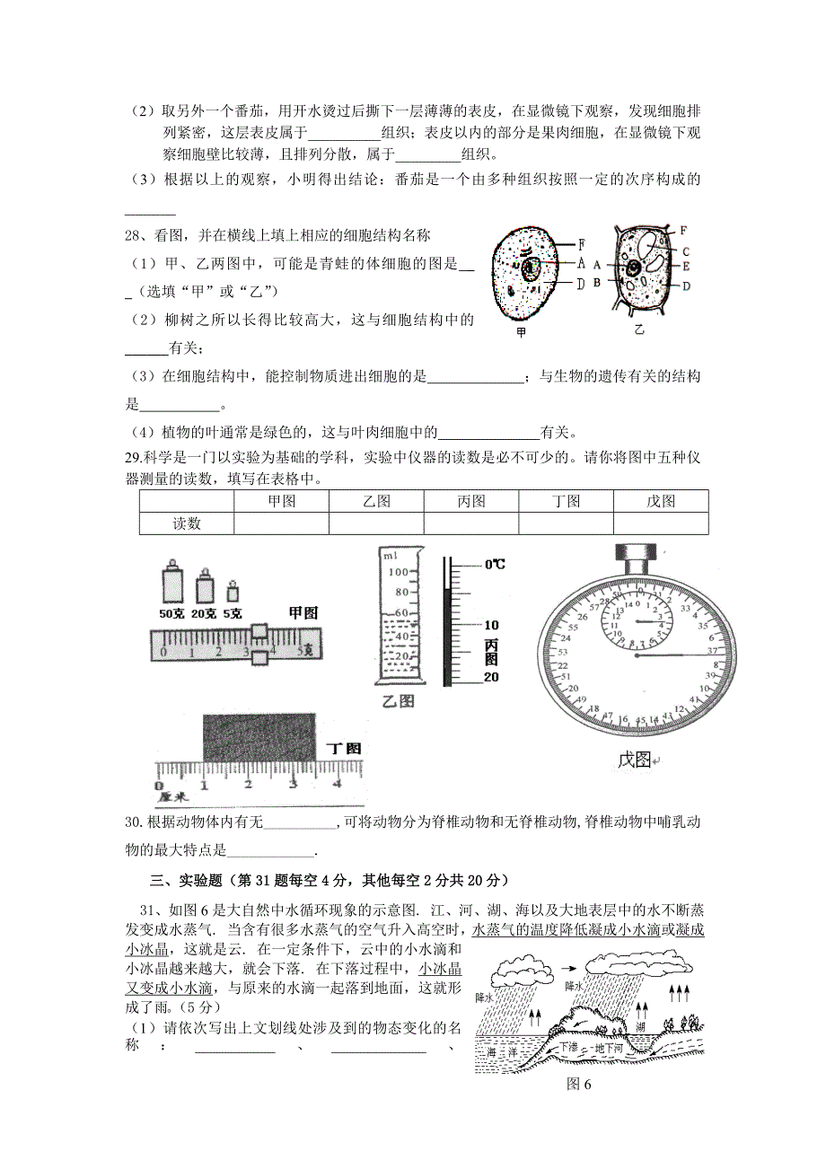 七年纪科学期末试卷_第4页