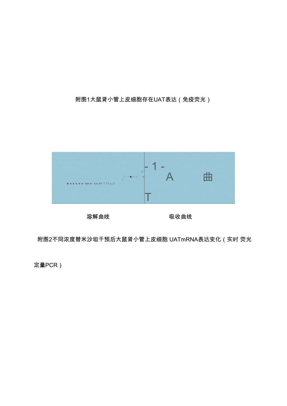 科研项目申报书_第5页