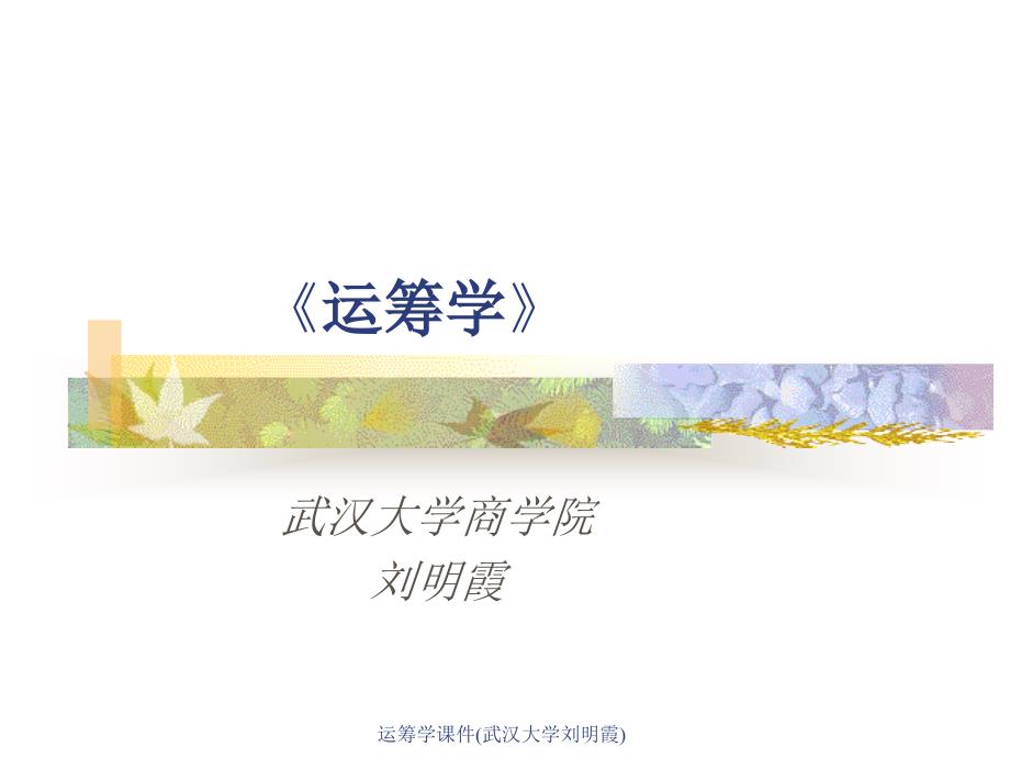 运筹学课件(武汉大学刘明霞)课件_第1页