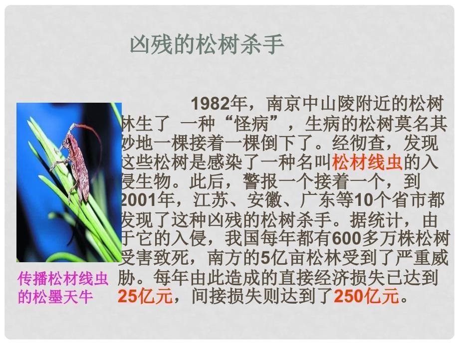 广东省肇庆市高要区金利镇朝阳实验学校八年级语文上册 第19课《生物入侵者》课件 （新版）新人教版_第5页