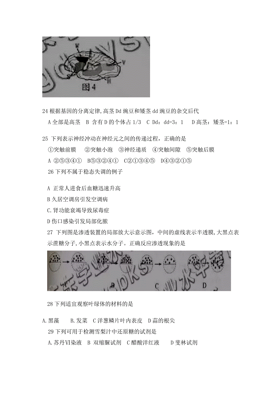 2019年1月广东省生物学考真题_第4页