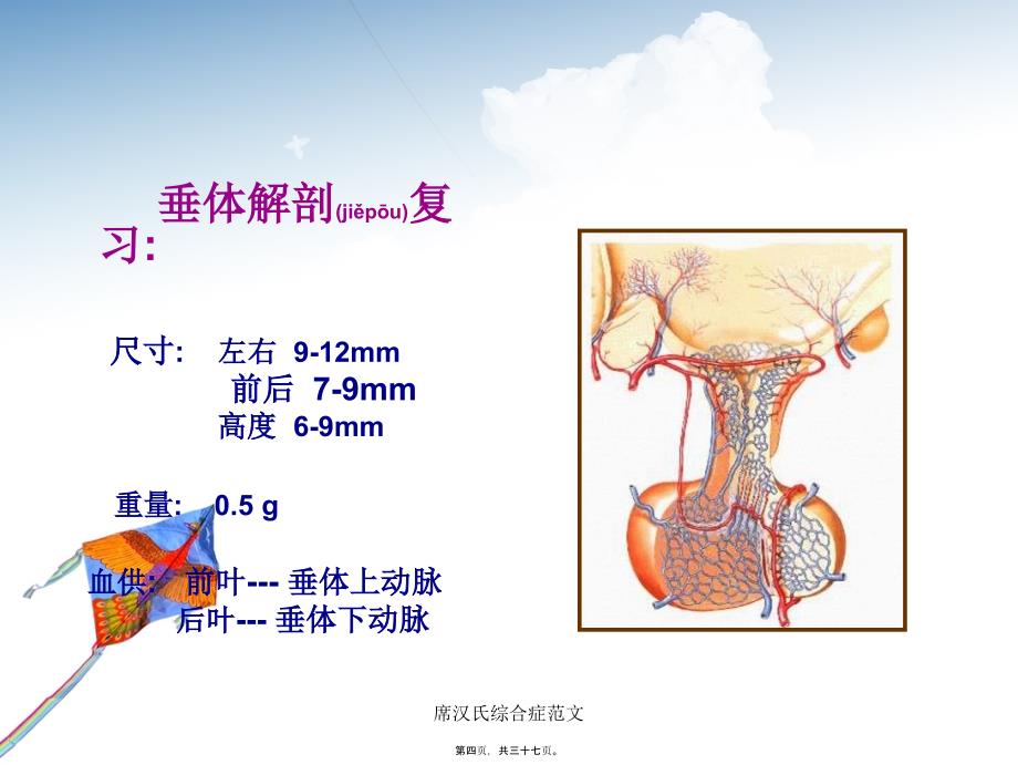 席汉氏综合症范文课件_第4页