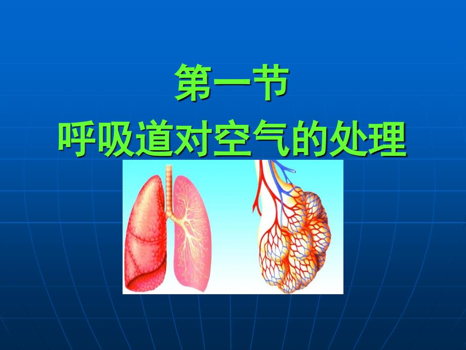 31[呼吸道对空气的处理]课件_第1页