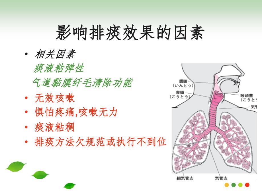 有效排痰的护理PPT演示课件_第4页