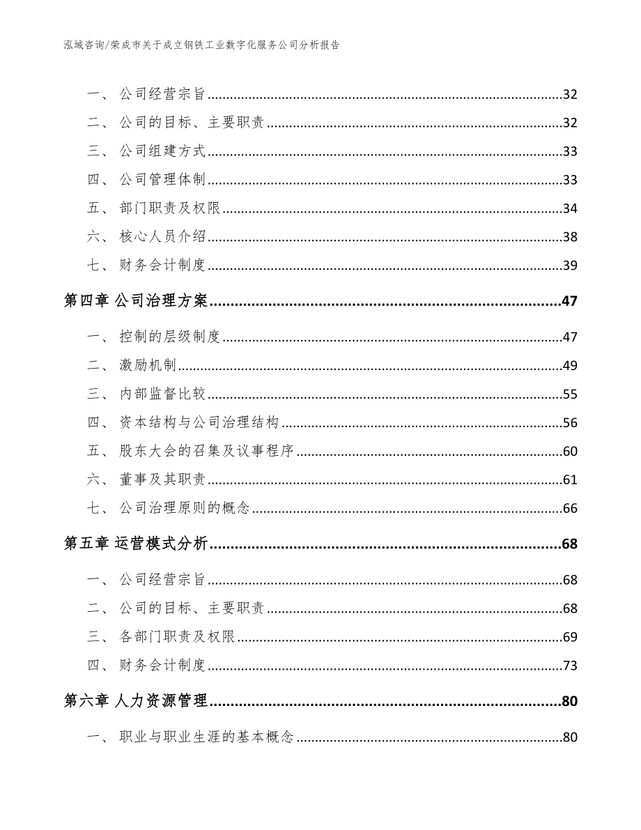 荣成市关于成立钢铁工业数字化服务公司分析报告范文模板_第2页