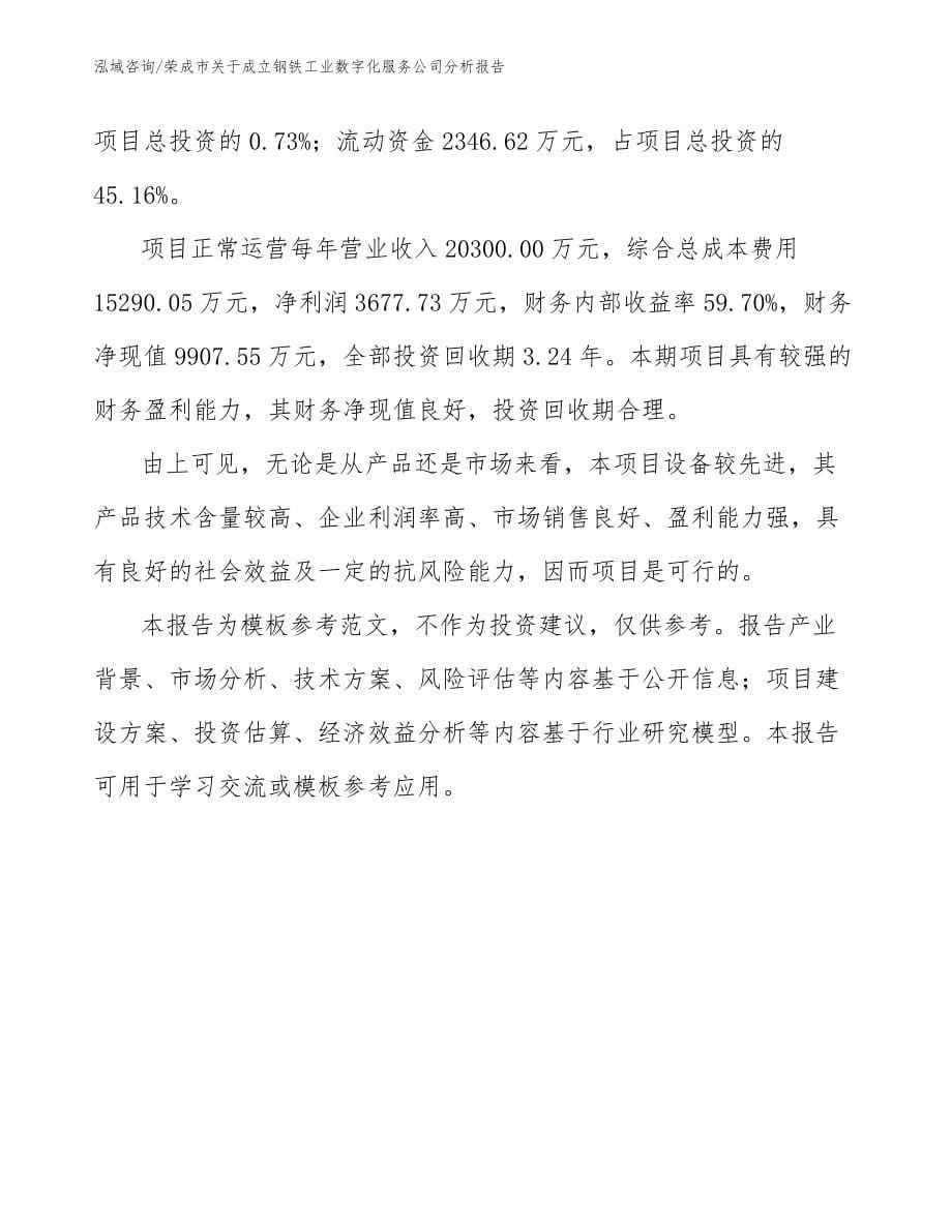 荣成市关于成立钢铁工业数字化服务公司分析报告范文模板_第5页