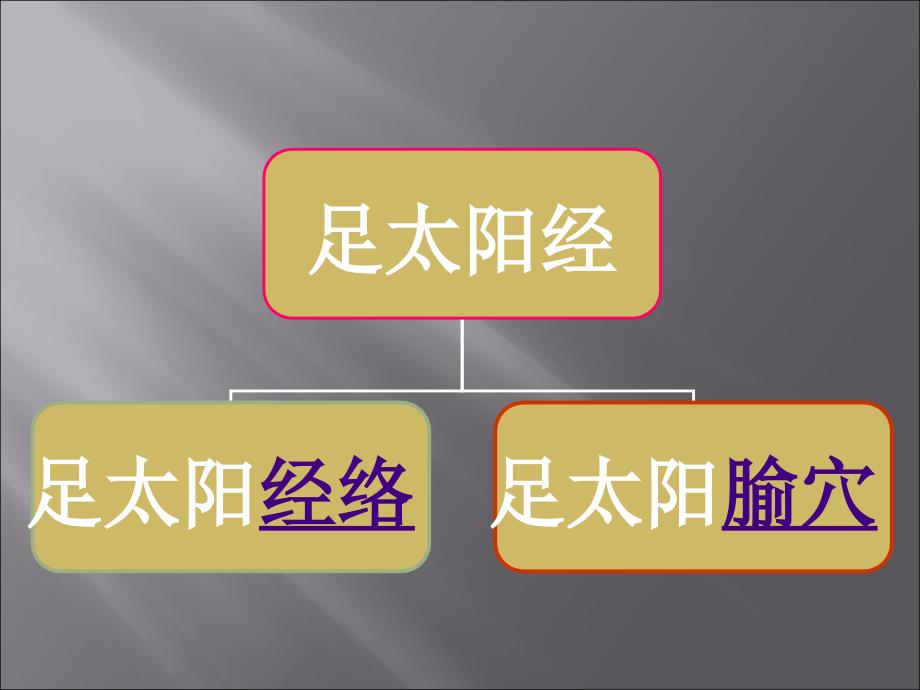 淮阴卫校足太阳膀胱经全部67穴位课件_第3页