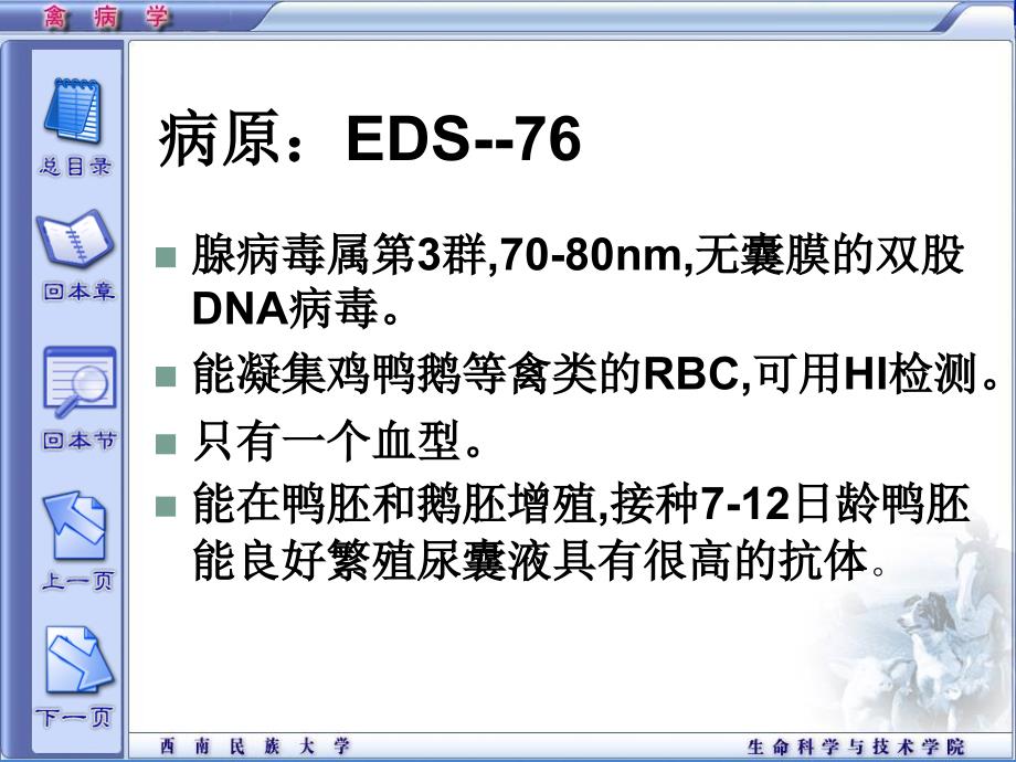 鸡产蛋下降综合症PPT课件_第3页