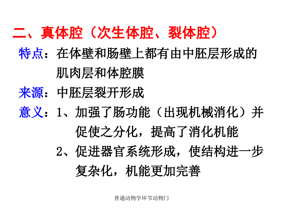 普通动物学环节动物门课件_第3页