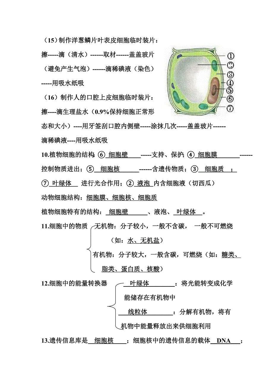 有答案七年级生物上册期末填空题复习_第4页