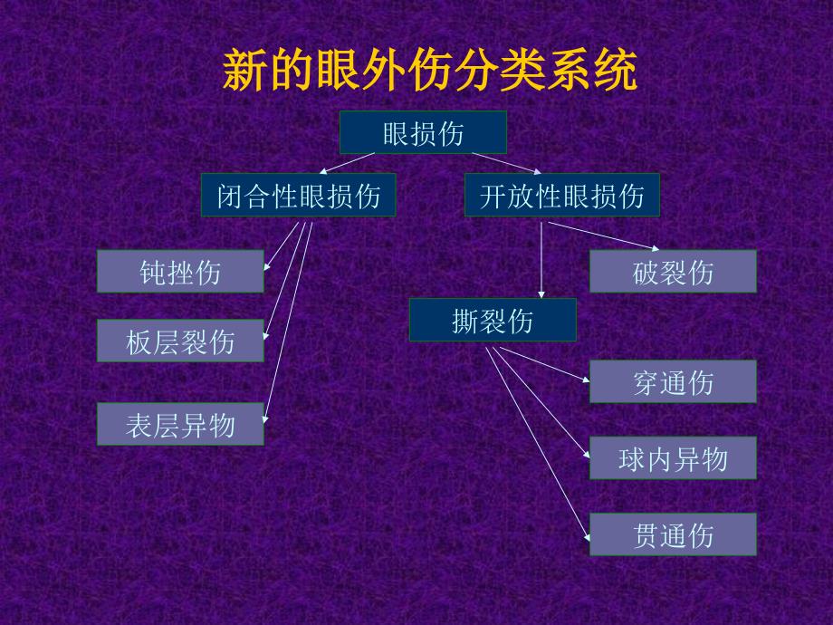 眼外伤与眼科急症处理_第3页