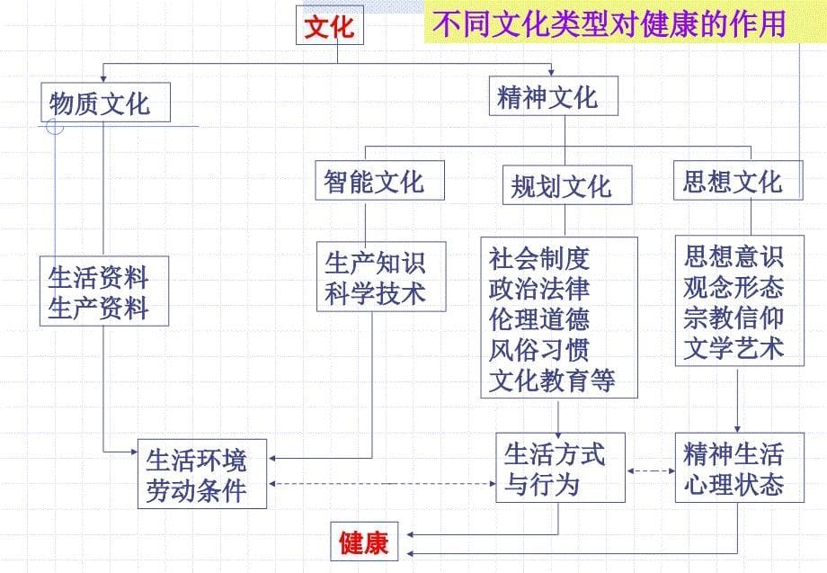 社会因素与健康_第5页