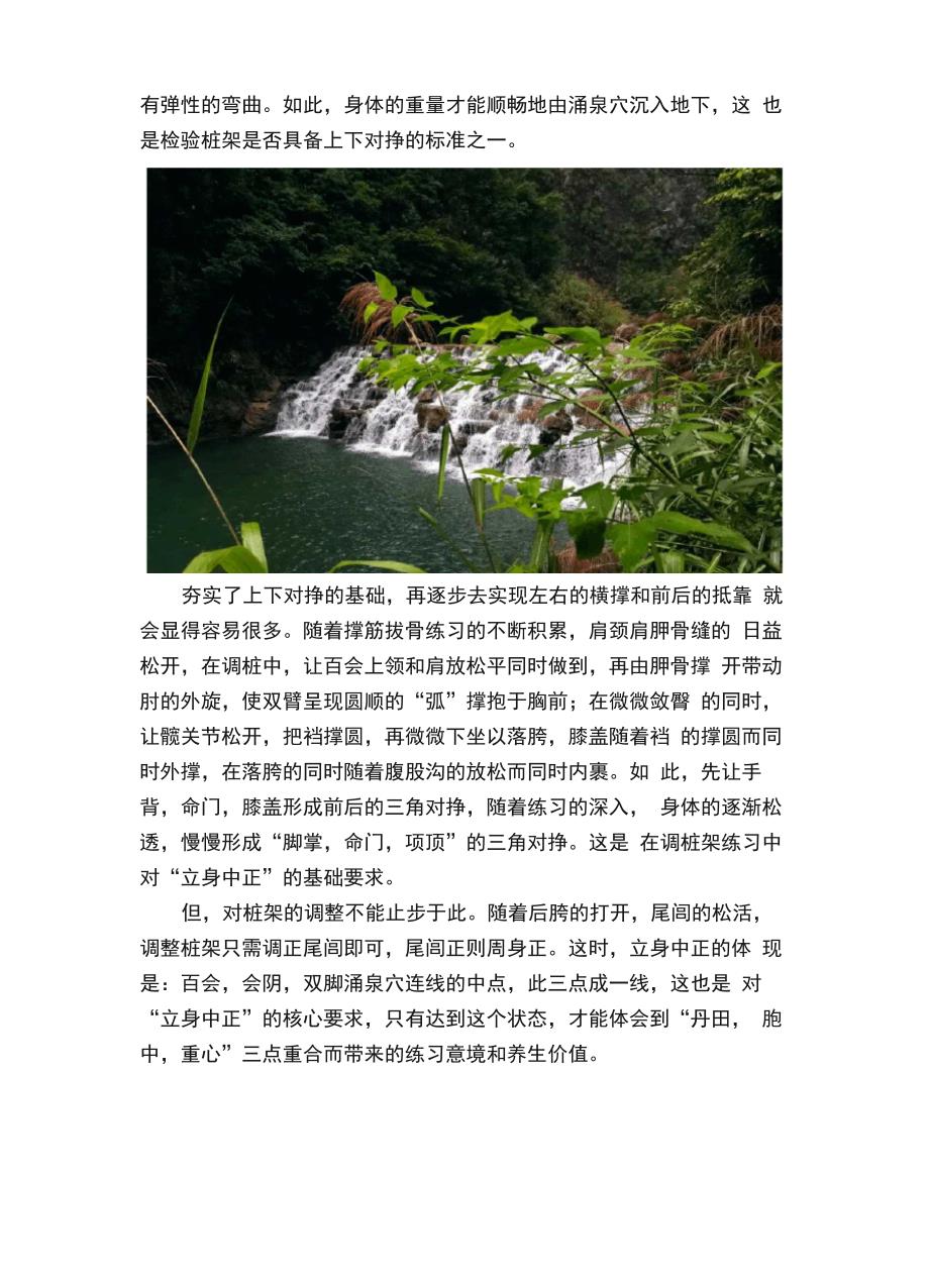 站桩之立身中正和重心正解_第2页