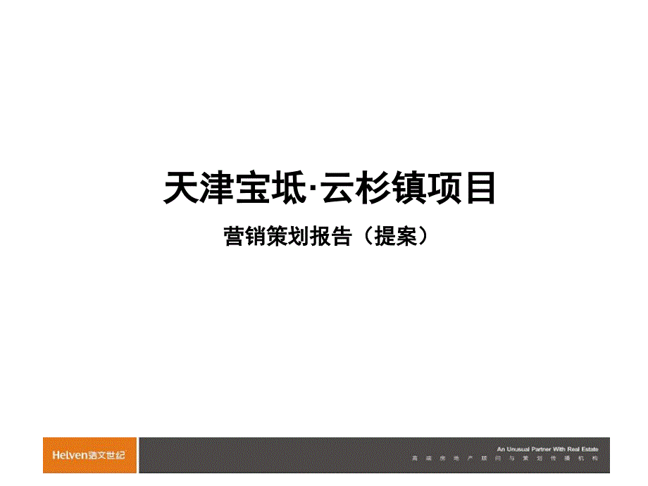 某房地产公司项目营销策划报告提案_第1页