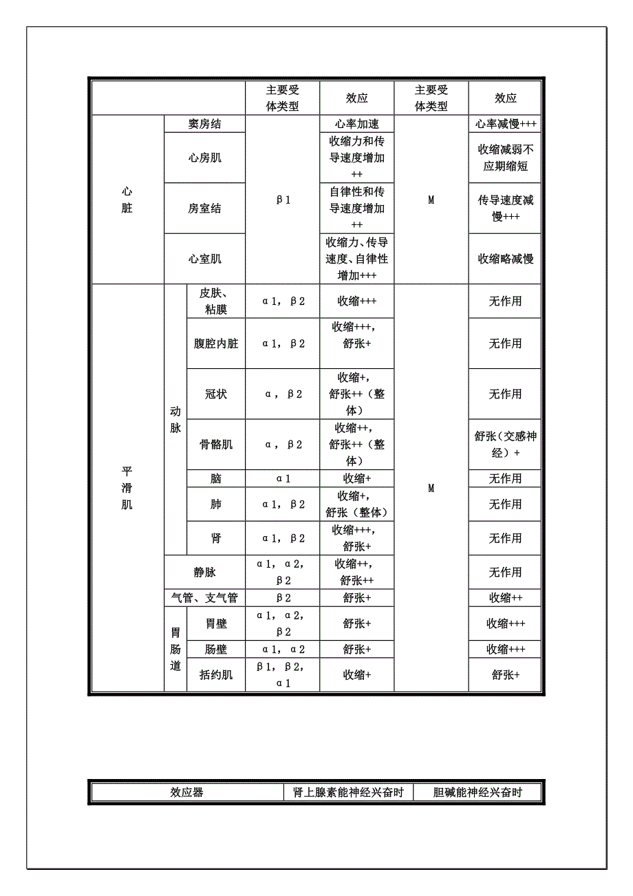 MNαβ受体图表详解及用药优质资料_第3页