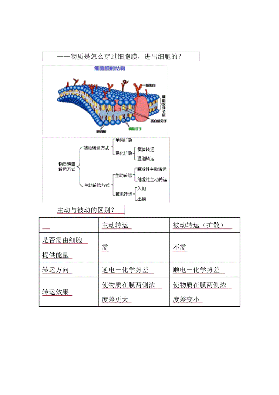 2018年临床助理医师资格考试辅导课件生理学第一单元细胞讲义_第2页