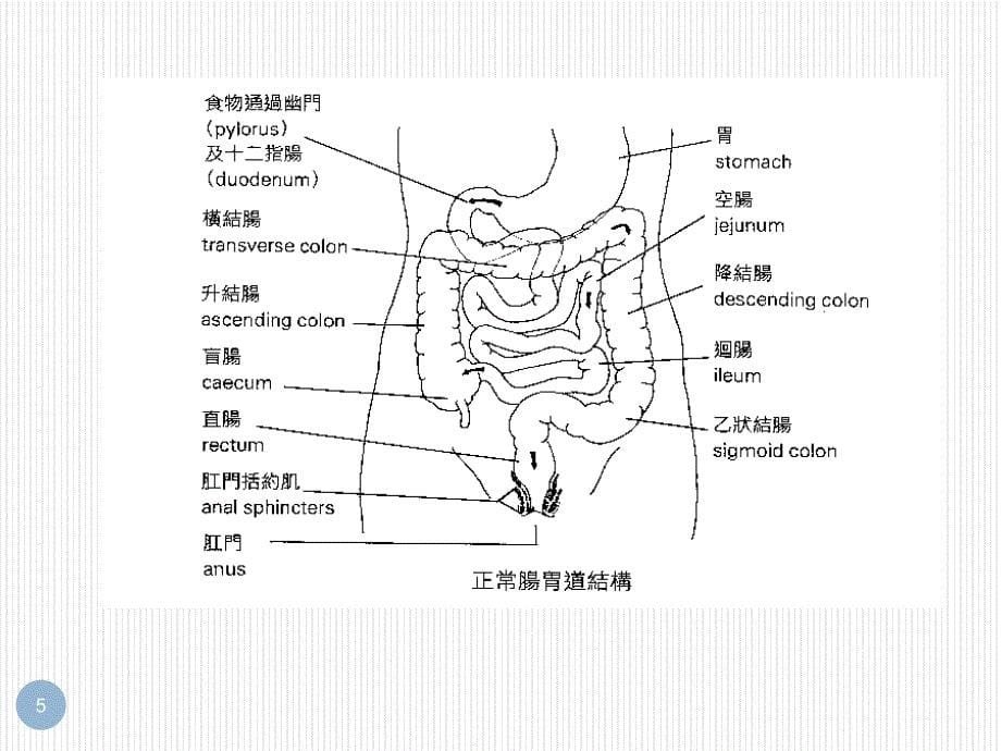 造口袋的更换方法及健康指导_第5页