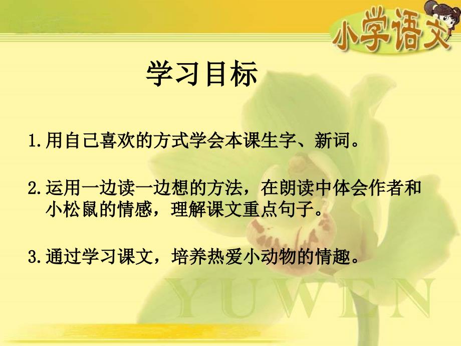 湘教版四年级语文上册13那只松鼠ppt课件_第2页