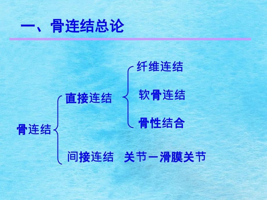 关节总论躯干骨颅骨连结ppt课件_第2页