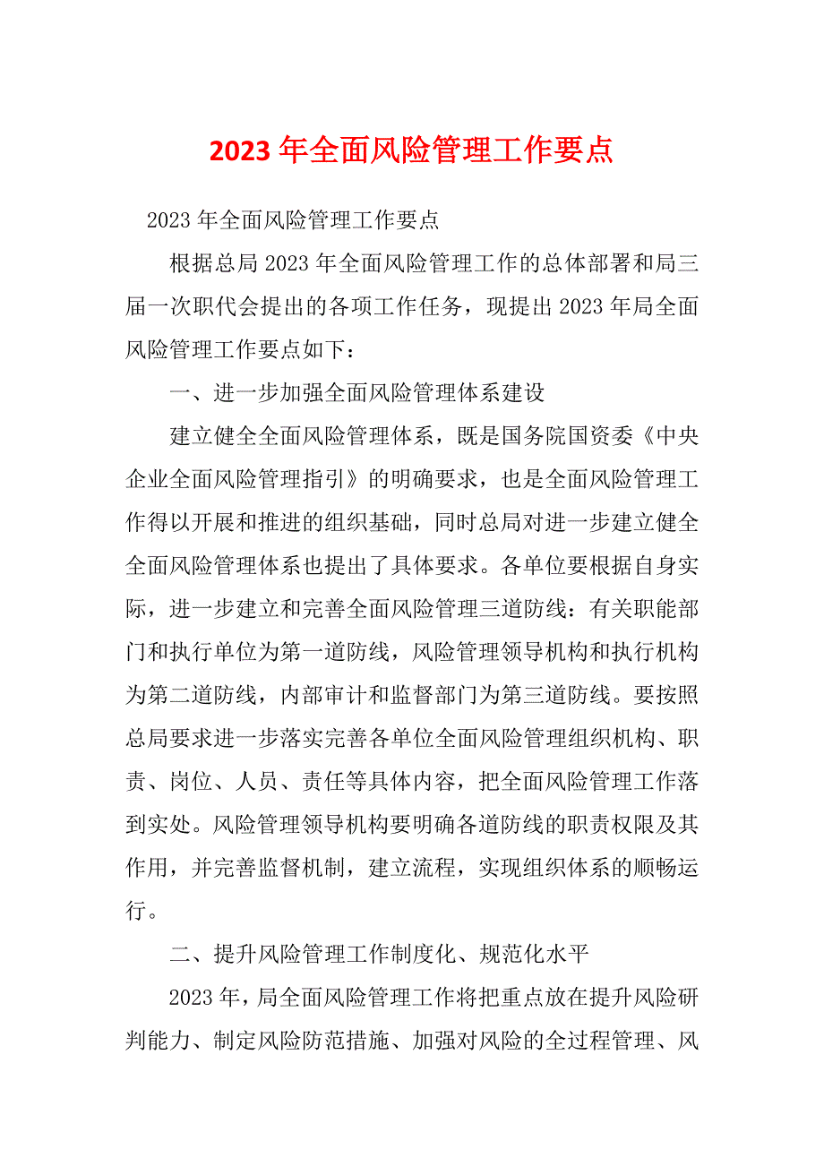 2023年全面风险管理工作要点_第1页