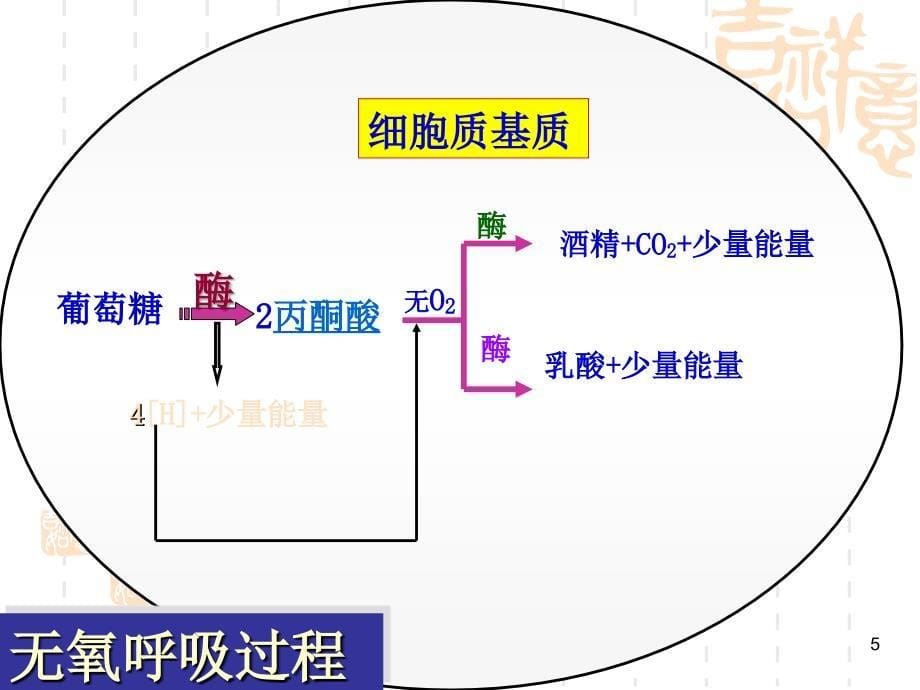 光合作用呼吸作用综合计算应用_第5页